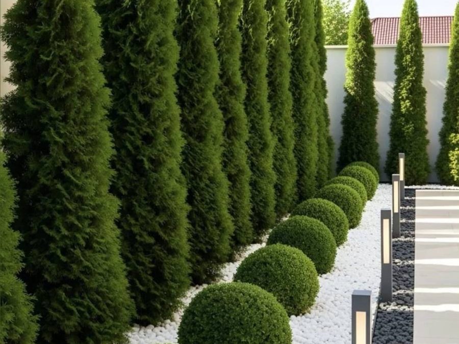 Mazi ve Topiari Geçidi Kemerburgaz