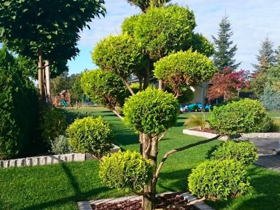 Bahçe Genel Bakımı Göktürk Kemerburgaz Topiari